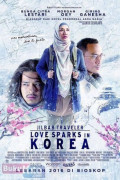 Jilbab traveler: love sparks in korea
