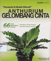 Anthurium gelombang cinta 