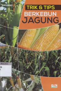 Trik & tips berkebun jagung