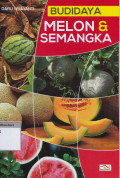 Budidaya melon & semangka